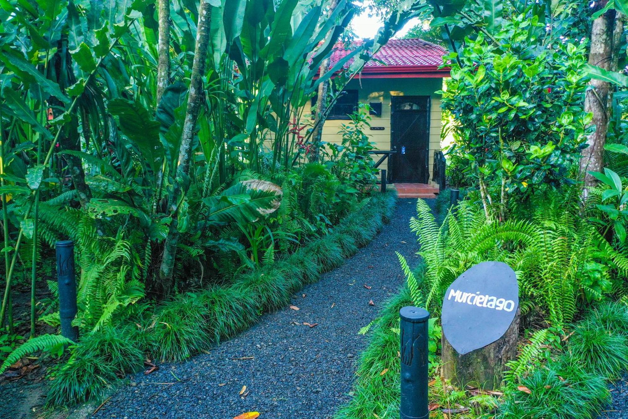 Maquenque Ecolodge Boca Tapada Oda fotoğraf