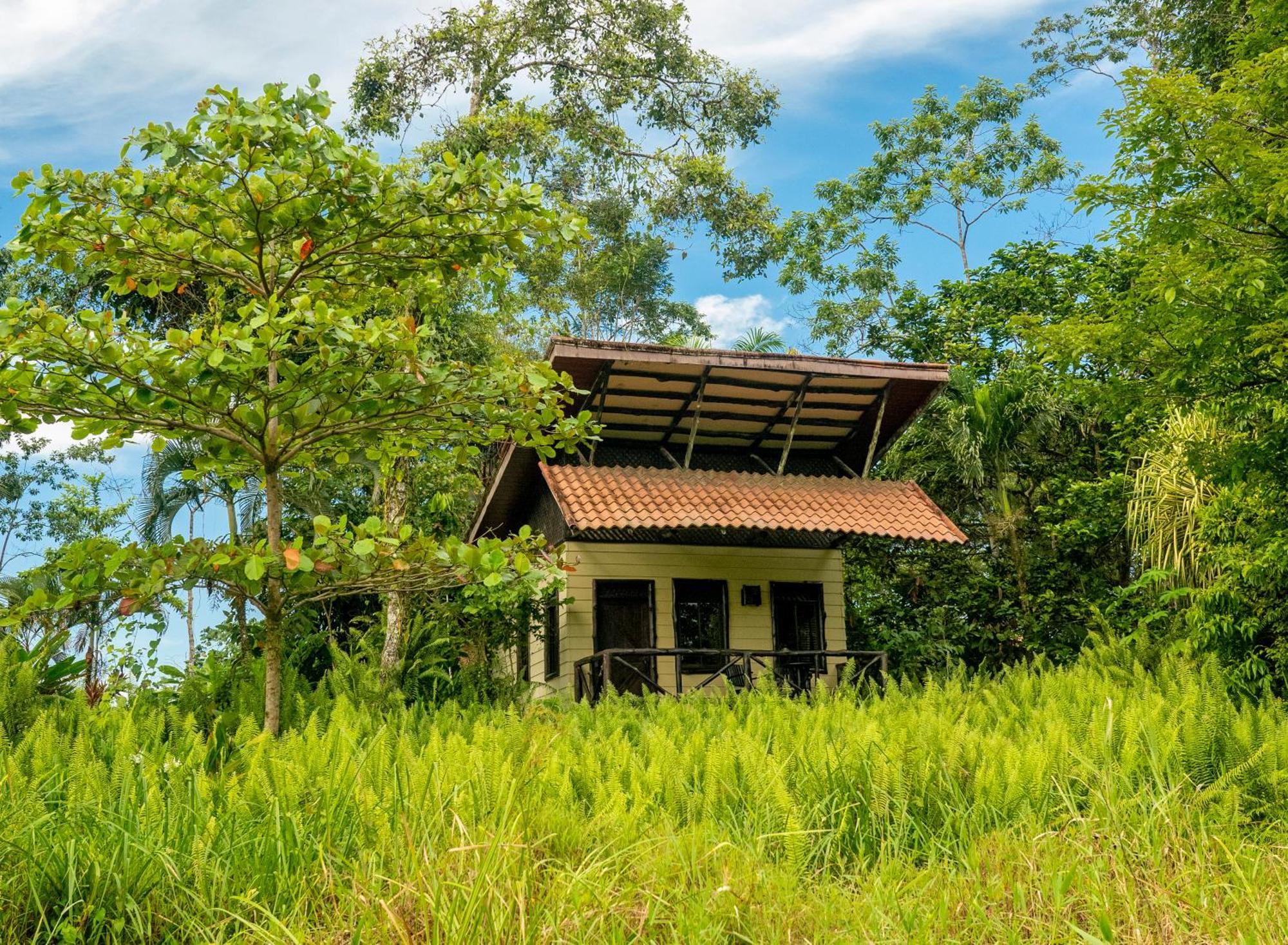 Maquenque Ecolodge Boca Tapada Dış mekan fotoğraf