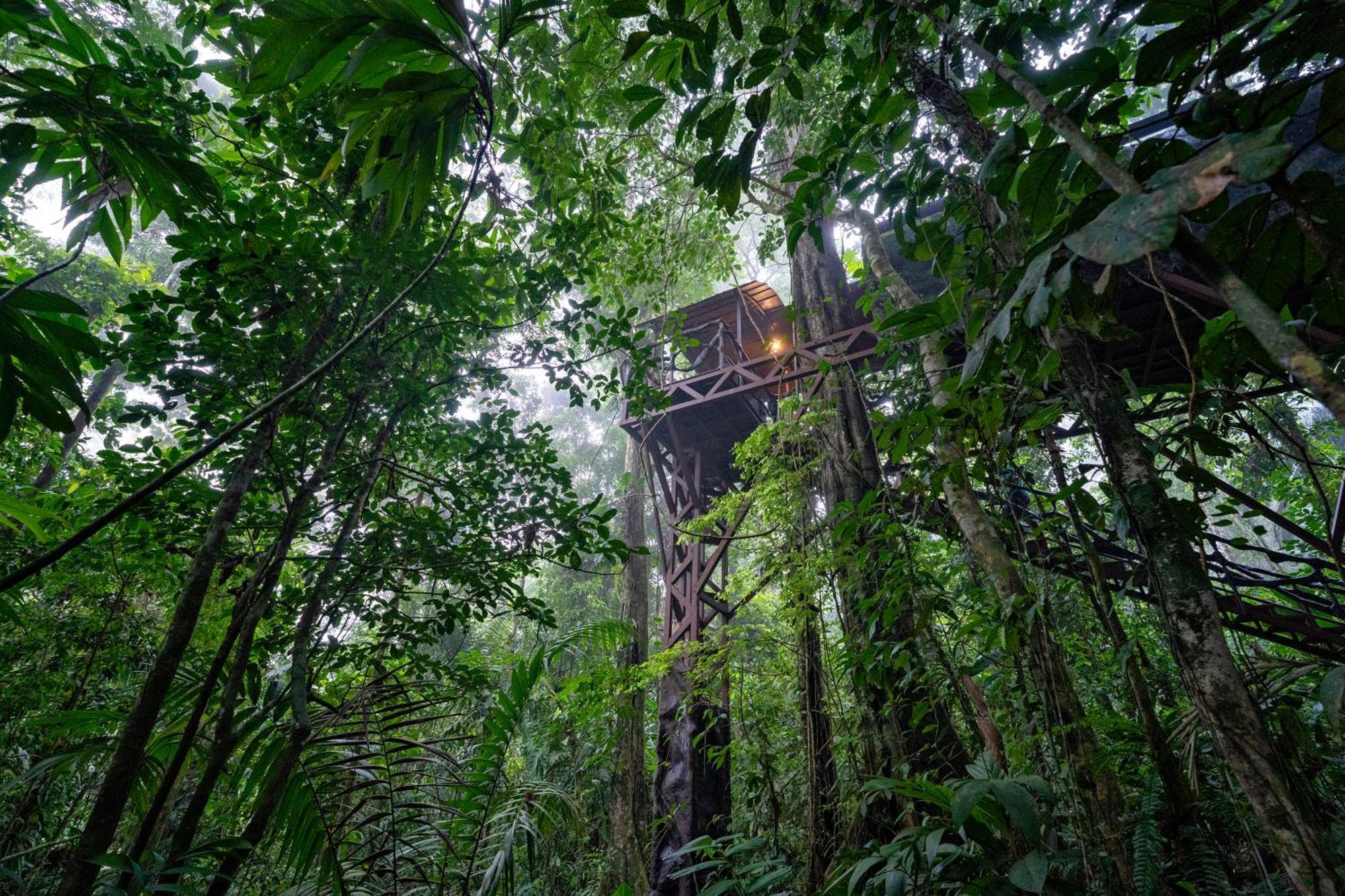 Maquenque Ecolodge Boca Tapada Dış mekan fotoğraf