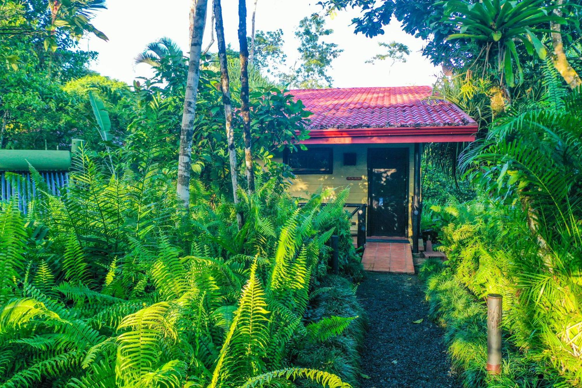Maquenque Ecolodge Boca Tapada Oda fotoğraf